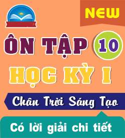 Ôn tập Học kỳ I (CTST_HH10)